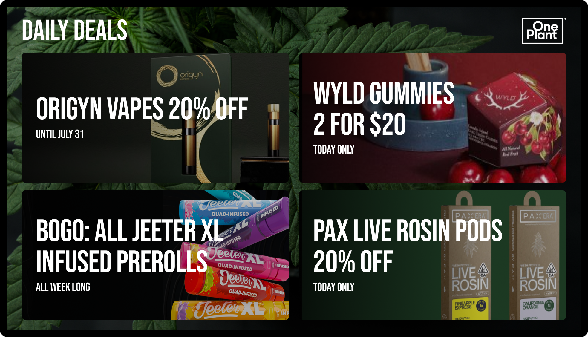 Four-card specials layout showing deals synced from Dutchie