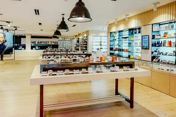 The Artist Tree dispensary interior with Seed screens