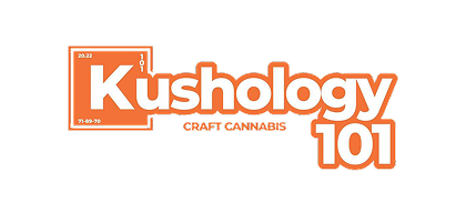 New Mexico dispensary logo
